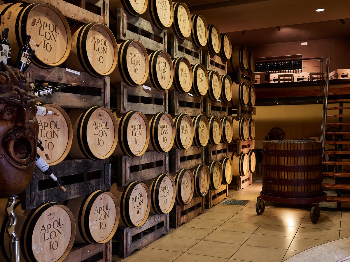 Apollonio 1870, una storia lunga 150 anni fra le botti di Negroamaro